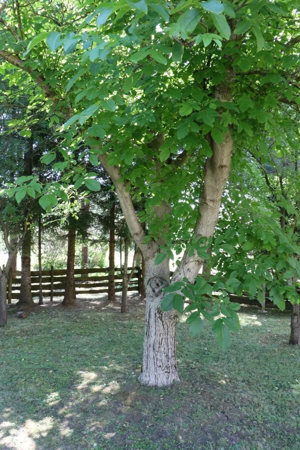 Holiday Home "Iris" Near Plitvice Lakes Rudanovac Bagian luar foto