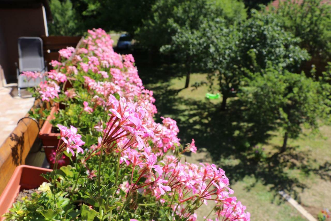 Holiday Home "Iris" Near Plitvice Lakes Rudanovac Bagian luar foto